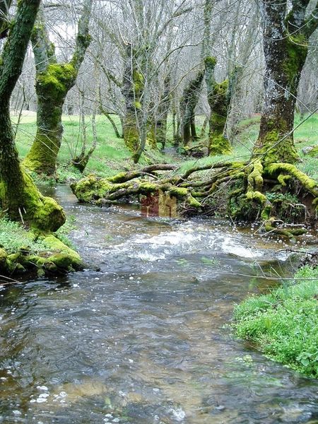 Casa en el Rincón del Río - Madrid