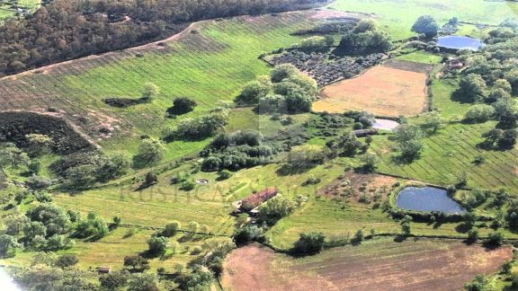 HERMOSA FINCA ENTRE GREDOS Y EL VALLE DEL TIETAR