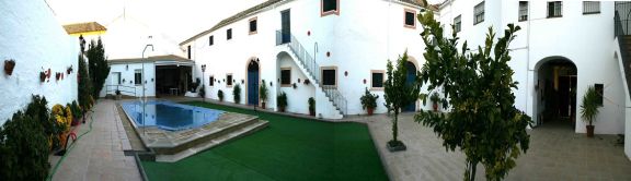 ANDALUSIAN COUNTRY ESTATE SURROUNDED BY OLIVE TREES