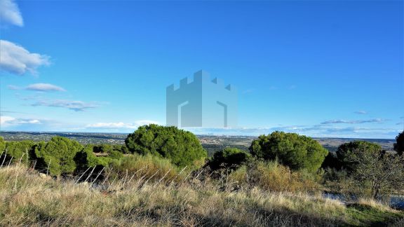 FINCA DE 108 HA. CON VISTAS A MADRID