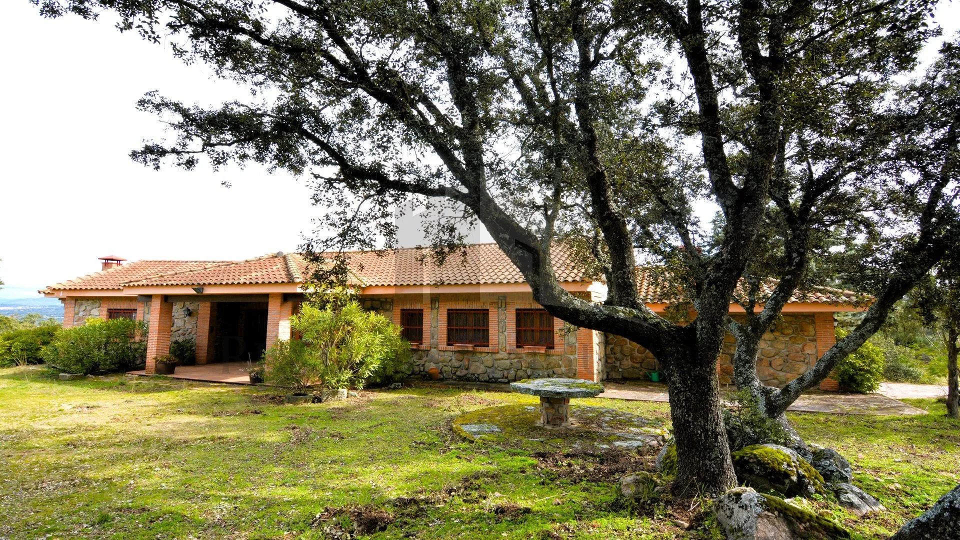 UN REFUGIO NATURAL &Uacute;NICO A LAS PUERTAS DE MADRID